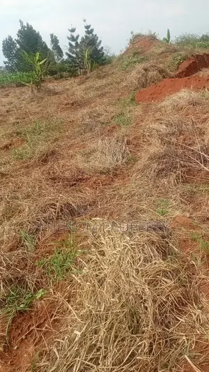 2acres On Sale