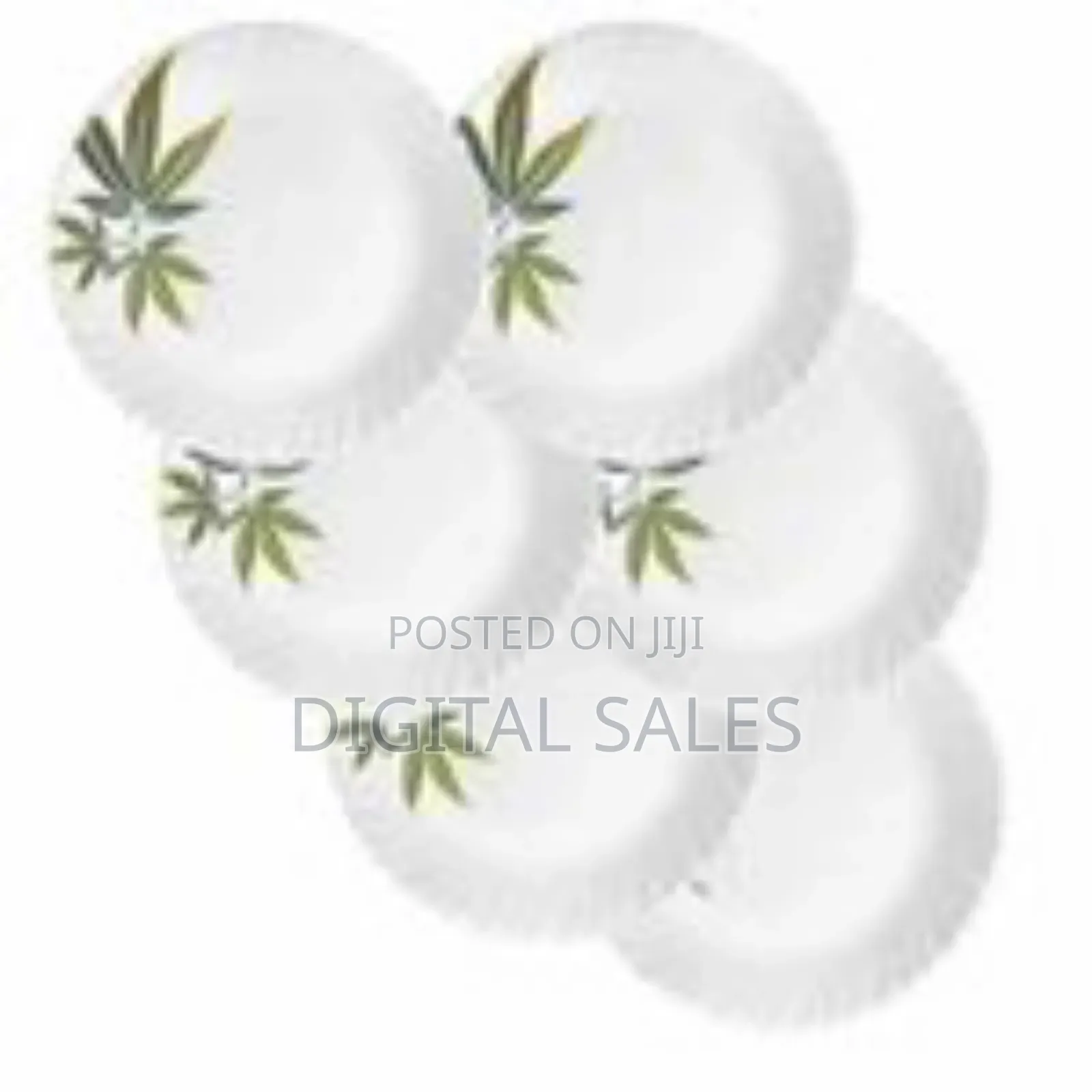 Set of 6 Snow White Curved Ceramic Dinner