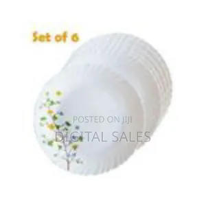 Set of 6 Snow White Curved Ceramic Dinner