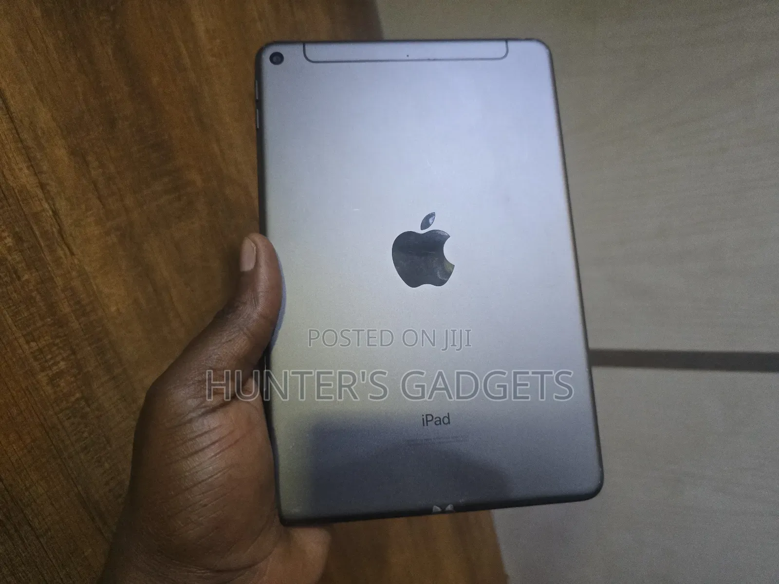 Apple iPad mini 5 256 GB Gray