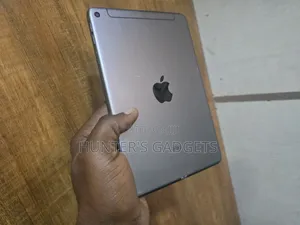 Apple iPad mini 5 256 GB Gray