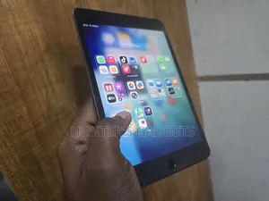 Apple iPad mini 5 256 GB Gray