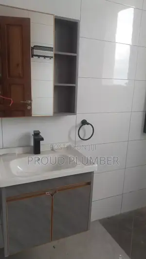 Bathroom Accessories Installation