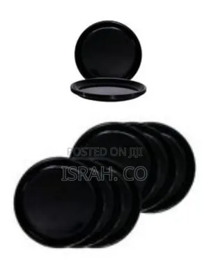 6 Dinner Ceramic Plates