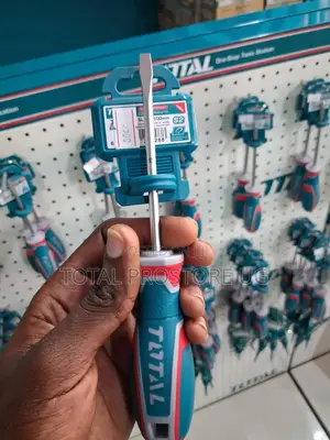 Slotted Screwdriver 5.5x100mm
