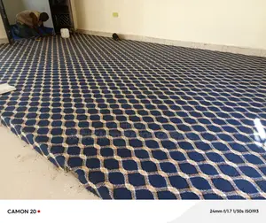 Blue Wall to Wall Woolen Carpets