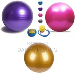 Gym/Yoga Ball With Inflator