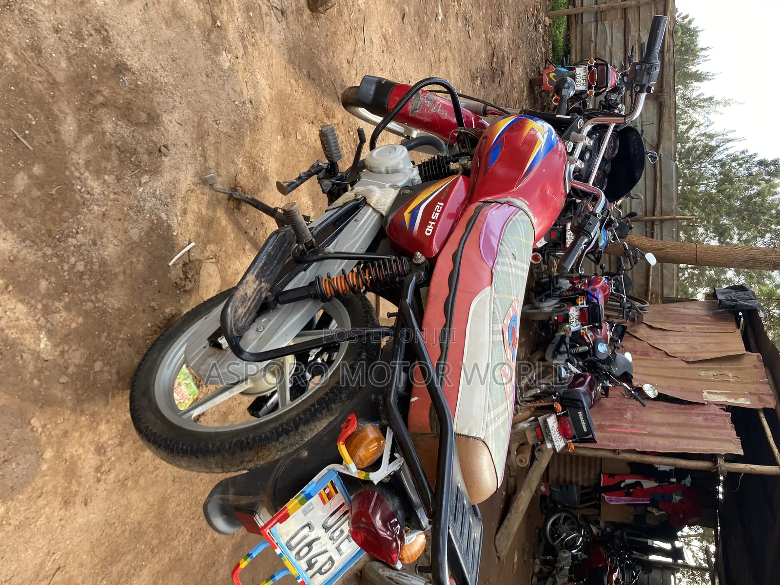 Bajaj CT 125X 2024 Red