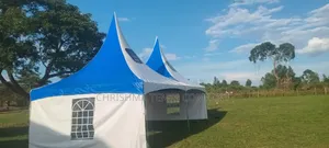 Canopy 100seater Tent
