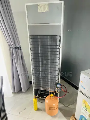 Modern Fridge Repair Service
