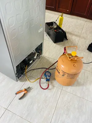 Apartment Modern Fridge Technician/Services