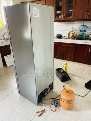 Standard Trusted Fridge Services/Gas Refill/Repairs