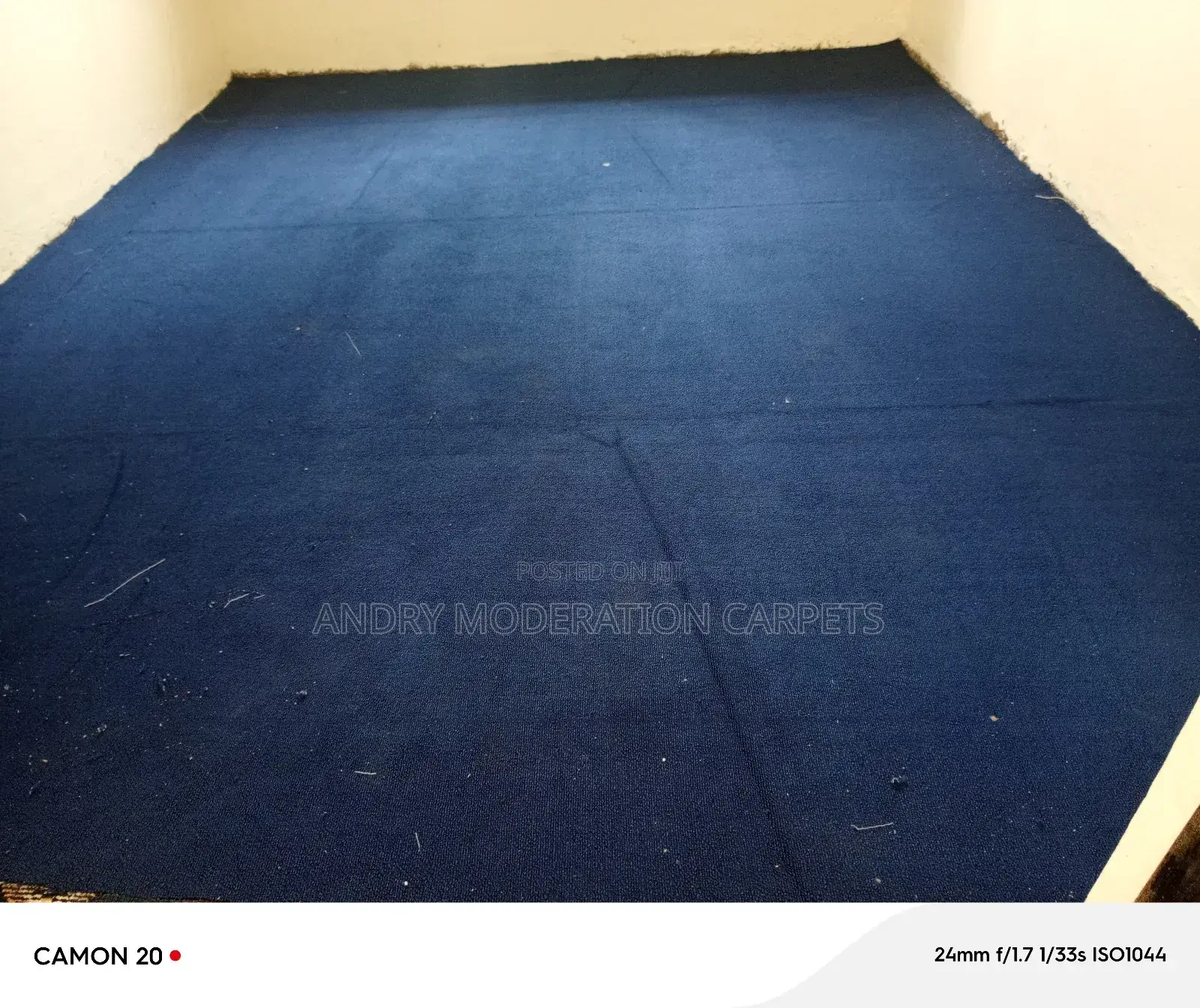 Normal Blue Wall to Wall Woolen Carpets