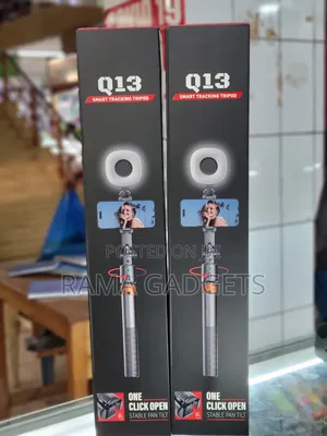 Q13 Smart Tracking Tripod