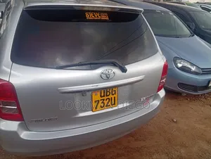 Toyota Corolla Fielder 2009 Silver
