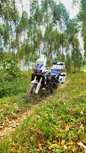 Honda 2017 White