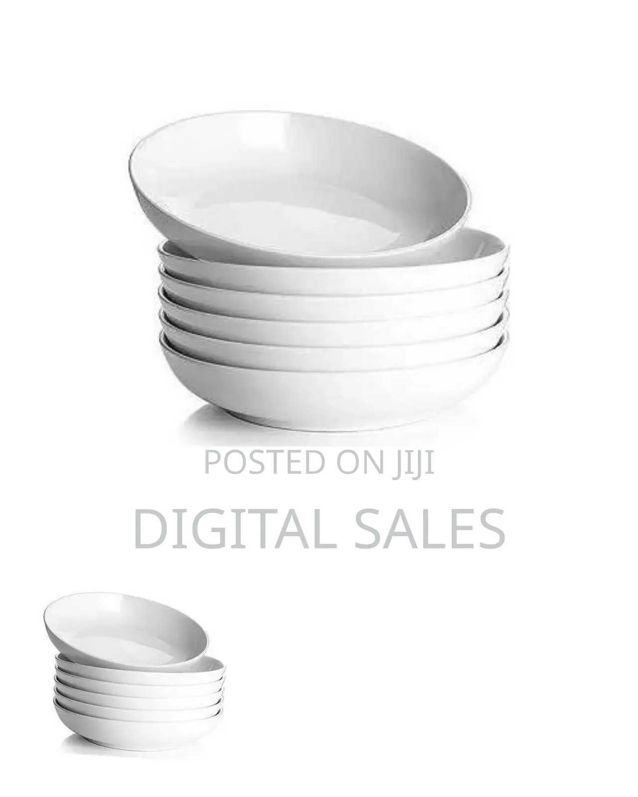 6 Dinner Plates##