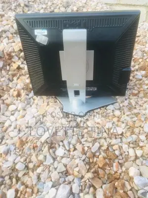 19 Inch Dell Monitor