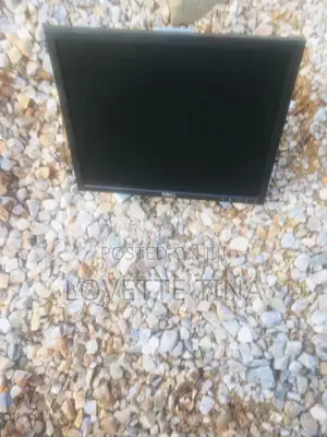 19 Inch Dell Monitor