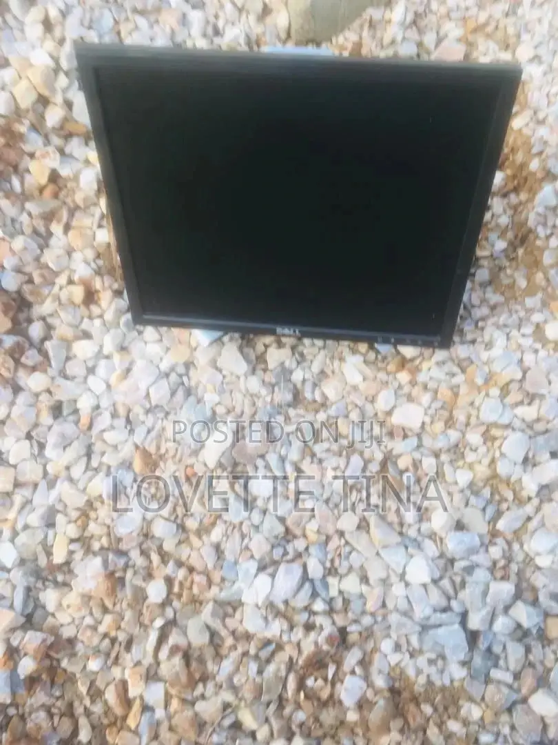 19 Inch Dell Monitor