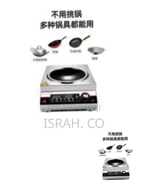Stainless Steel Induction Cooker With Integrated Wok Burner
