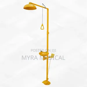 Eyewash Station - Shower Type