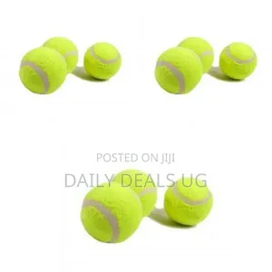 3 Piece Set of Tennis Balls