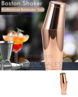 Professional Metal Cocktail Shaker Set