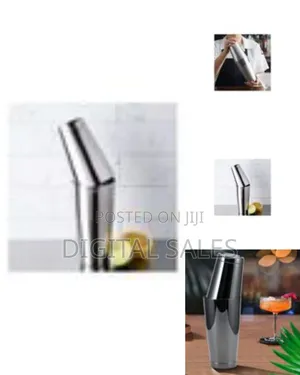 Professional Boston Cocktail Shaker Set - Multicolor