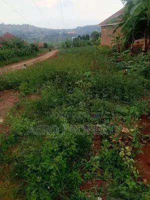 Land for Rent