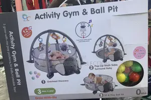 Activity Gym and Ball Pit