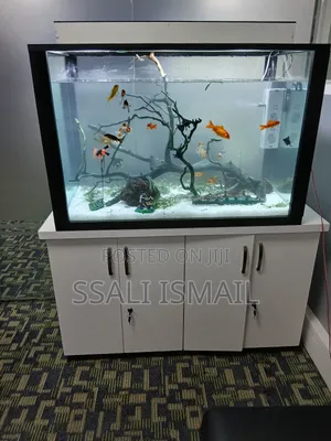 Crystal Clear Water Because of Strong and Less Power Consumption Pump