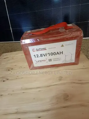 12.8v 100ah Gopower Lithium Batteries