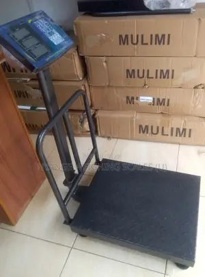 Foldable Platform Weighing Scales 350kg Weigh Digital Weighing Scale
