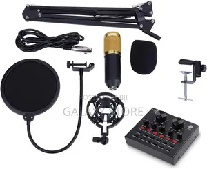 Condenser Microphone Bundle Usb Microphone Kit With Live Sound Card