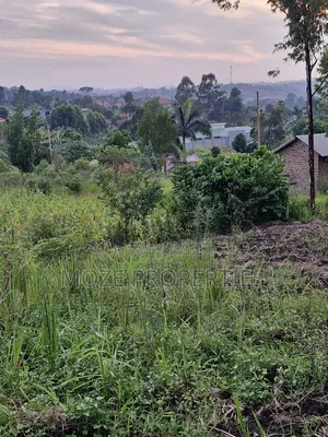 Nabusugwe Namugongo 50x100 Plot for Sale.
