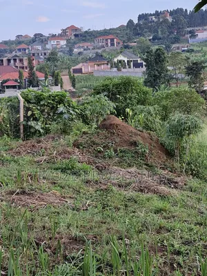 Nabusugwe Namugongo 50x100 Plot for Sale.