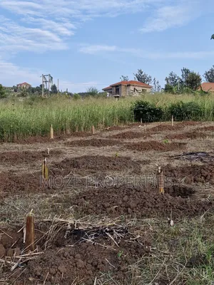 50x100 Plot for Sale in Nabusugwe Namugongo.