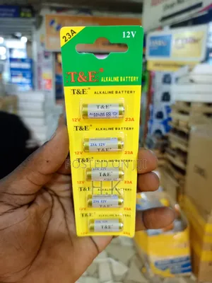 T E 23a 12v Alkaline Batteries.