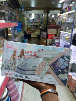 DSP Steam Iron