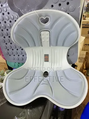 Japan Petal Ergonomic Spine Support Waist Cushion.