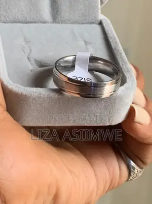 Titanium Wedding Band With a Brushed Finish and Polished Beveled Edges