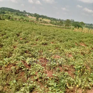 10 Acres for Sale Located at Mukono Nakifuma
