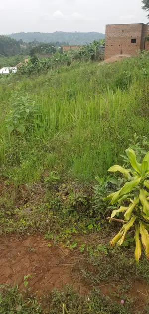 Plot for Sell