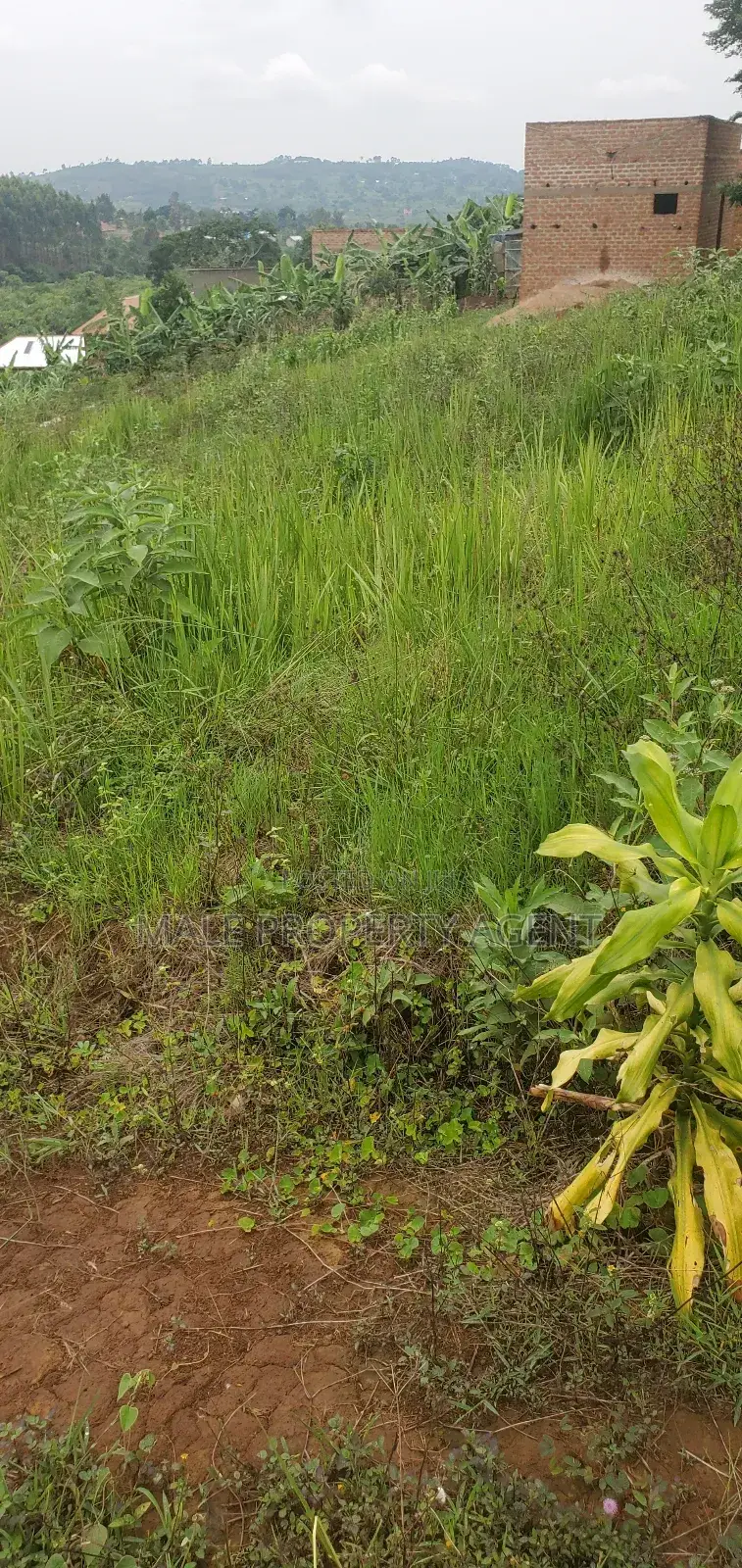 Plot for Sell