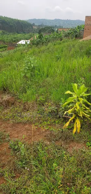 Plot for Sell