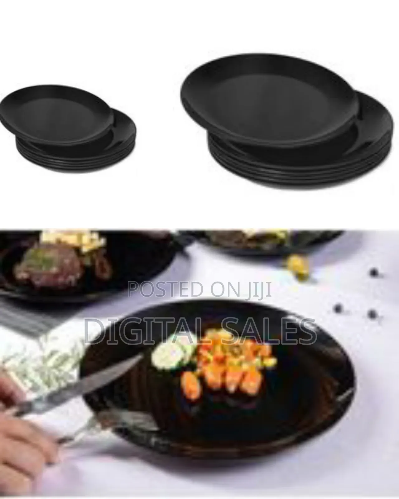 6 Piece Set of Ceramic Dinner Plates