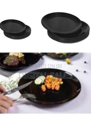6 Piece Set of Ceramic Dinner Plates