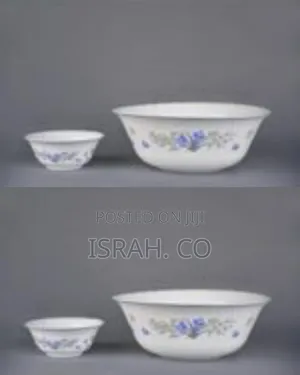 Elegant Floral Dinnerware Set