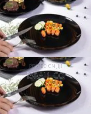 6 Piece Set of Ceramic Dinner Plates